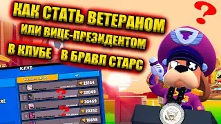 Как Стать Ветераном или Вице президентом в Клубе в Бравл Старс