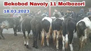 Bekobod Navoiy 11 Molbozori 18.03.2023