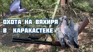 Охота на вяхиря с подхода в Охотничьем хозяйстве Каракастек ! 🕊🕊🕊открытие сезона 2021!!!💥💥