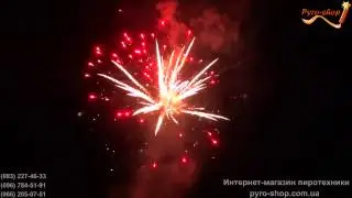 Салют на корпоратив 11 08 12