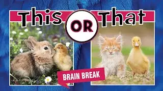 This or That Challenge - Baby Animals - Brain Break