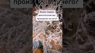 ЕГО ПЕРВОЕ ВПЕЧАТЛЕНИЕ О ТЕБЕ / Таро онлайн расклад
