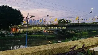 Lord Huron - The Night We Met | Typography Cinematic
