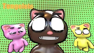 Tenge The Cat
