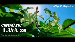LAVA Z6 Cinematic Camera Test | LAVA Z6