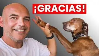 ¡Rescatado en el Último Segundo! …¡Mira Cómo Nos Lo Agradeció!
