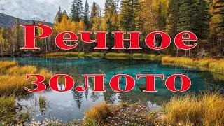 Речное золото! River gold!