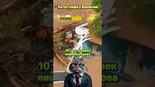 🚨Катастрофа в Бразилии