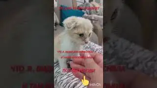 25 сентября 2024г