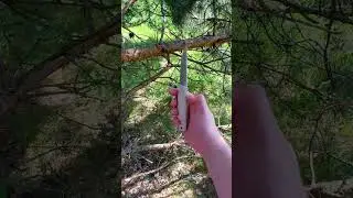 Owl Knife North-XS