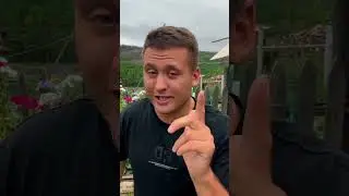 19 июля 2024 г.