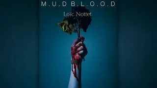 Mud Blood - Loïc Nottet (Acoustic Cover)