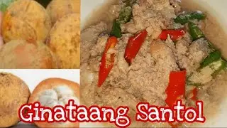 Ginataang Santo Recipe/Santol na Ginataan By MYC
