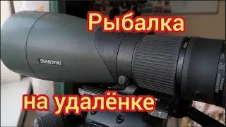 Рыбалка на удалёнке