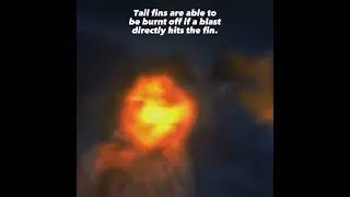 Did you know..?/How to train your dragon/Race to the edge/Toothless/Nightfury/Lightfury/Dragons/Edit