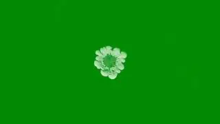 Smoke Blow up Flush intro / outro Greenscreen Free Copyright