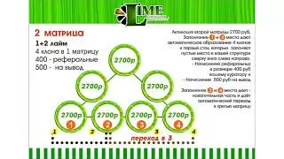 Презентация Лайм компани