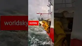 bad weather sea life