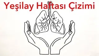 Yeşilay Haftası Çizimi ( 1-7 Mart ) Akciğer Çizimi