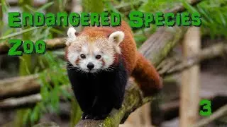 Endangered Species Zoo | Part 3: Red Pandas - Zoo Tycoon 2