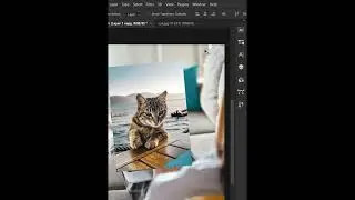 photoshop 2024 