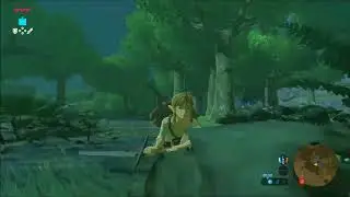 Breath of the Wild #6 Catching Fireflies