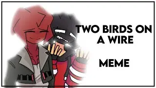 TWO BIRDS [MEME ANIMATION] Ft. Agoti & Aldryx