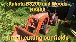#53 Kubota B3200 and Woods BB48X brush cutting our fields