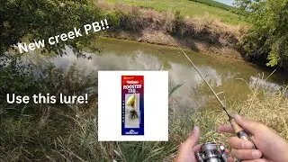 Fishing a creek with a rooster tail! (Multiple PB's broken)