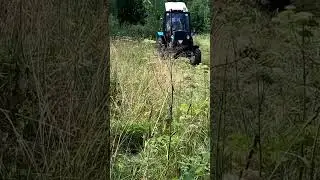 🌿Сенокос на МТЗ 82🚜