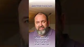 СТРЕСС И ЗДОРОВЬЕ. Как использовать стресс для укрепления здоровья.