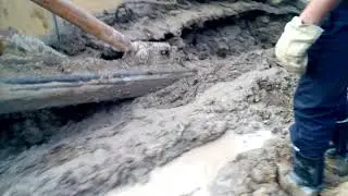 6 марта 2020 г.