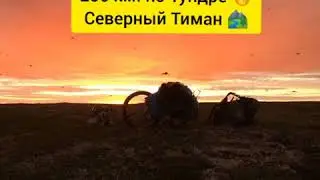 ПиКонь и 250 км. по Тундре. Северный Тиман.