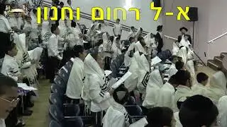 אמירת י''ג מידות כמנהג תימן תימן בקהל רב - אלול תשפ''ב | ארגון אלפי יהודה