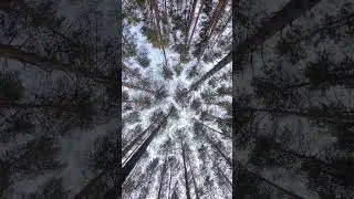 11 марта 2023 г.