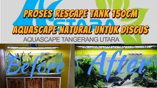 Proses Rescape Aquascape Natural 150cm