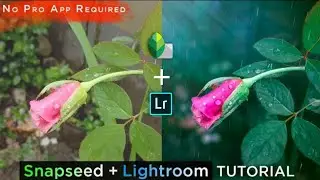 Flower Editing in Snapseed and Lightroom | Green Moody Tone | by BKsTricks