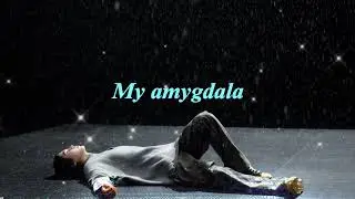Agust D Amygdala | #BTS