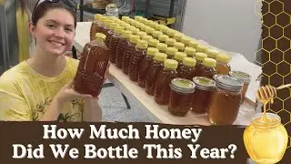 HOW DID WE GET THIS MUCH HONEY!? | BEEKEEPING