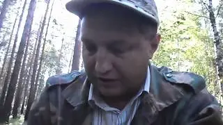 Окунево.Новости на 29 июля 2017. Погода в деревне. Ягоды.Лес.Грибы.