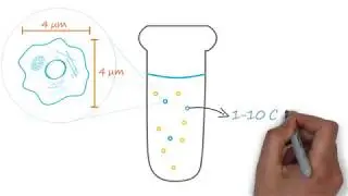AbLearning™ - Episode 1: Circulating Tumor Cells