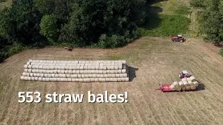 Wheat Harvest 2023 Highlights