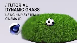 Creating Dynamic Grass using Hair System in Cinema 4D