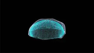 MAHS Hologra in Maya3D