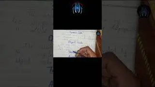 Source Code And Object Code | Programming | CodeCoat