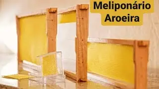 Preparando mais algumas MELGUEIRAS e POTES de CERA para as divisões! 😍🐝🐝