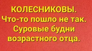 Семья Колесниковых/Новости из Дворца.