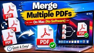 How to Merge Multiple PDFs into One on Mac Without Any Software