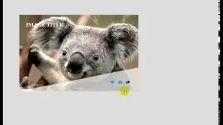 A Unique Hover Effect by  using HTML and CSS