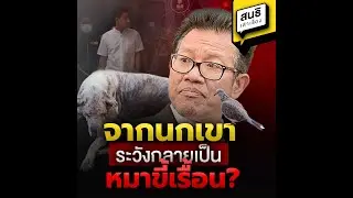 จากนกเขาระวังกลายเป็นหมาขี้เรื้อน? : สนธิเล่าเรื่อง